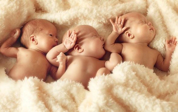 Чи допоможуть у черкаській мерії батькам новонародженої трійні?