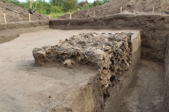 Стали відомі подробиці знахідки людських черепів у Чигирині