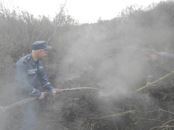 У Черкаській області загасити вогонь на торфосховищах не допоміг навіть дощ