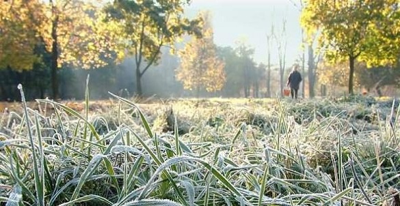 Одягайтесь тепліше: у Черкаській області очікуються заморозки