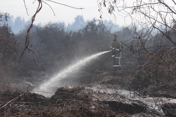 На Черкащині вже понад два тижні триває ліквідація пожежі на торфосховищах
