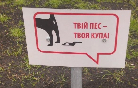 Для черкащан затвердили місця, де заборонено вигулювати собак
