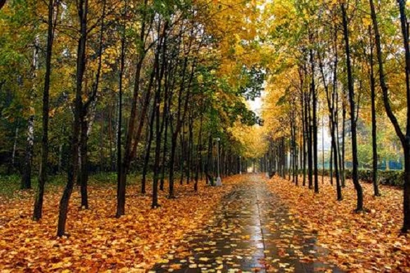 У Черкаській області синоптики прогнозують дощі та потепління