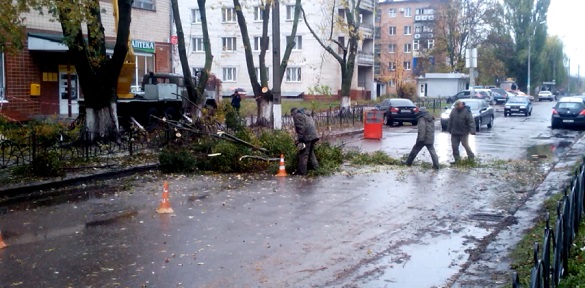 Рух для автомобілів ускладнений: у Черкасах біля Третьої міської лікарні обрізають дерева