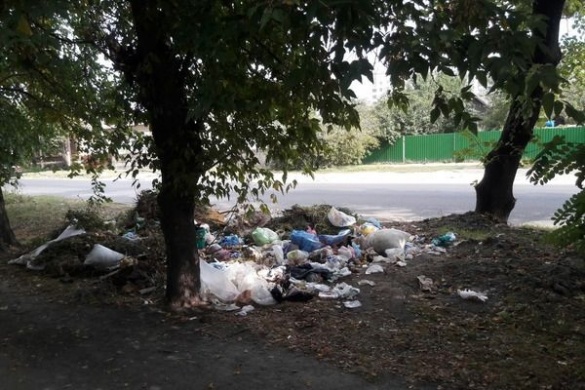 Люди та свині:  чому в Черкасах виникають стихійні сміттєзвалища?