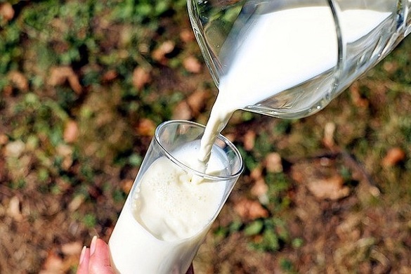 Ринок є, контролю — немає: черкаське молоко хочуть підтягнути до європейських стандартів