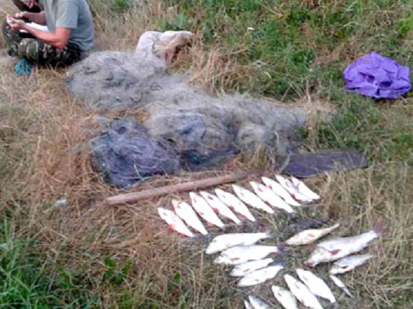 Намагався викрасти рибу зі ставка: на Черкащині сільському голові оголосили про підозру