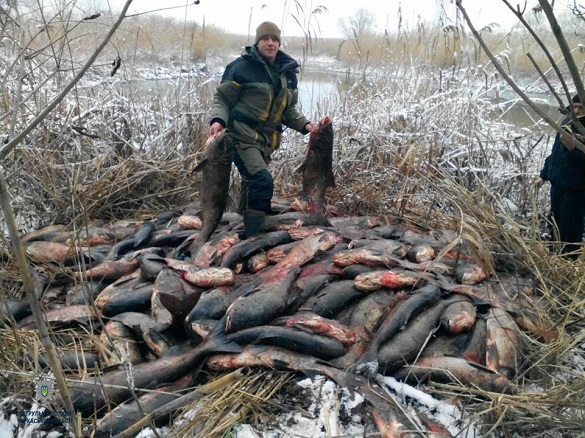 Близько 1,5 тонн риби: на Черкащині знайшли в очереті вилов браконьєрів(ФОТО)
