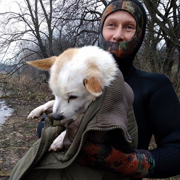 Черкащани врятували собаку, який близько доби провів посеред озера