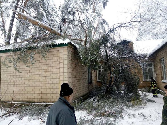 У Черкасах впало дерево на адміністративну будівлю (ФОТО)