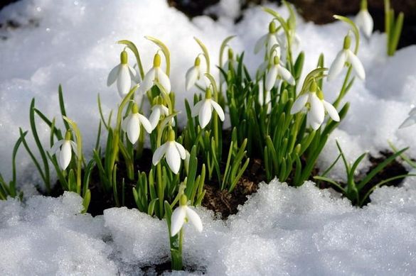 Черкаські синоптики розповіли, якою буде погода до кінця березня
