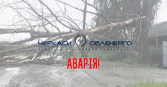 Через сильний вітер вісім населених пунктів Черкащини лишилися без електрики