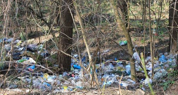 Черкаські ліси перетворюються на сміттєзвалища (ВІДЕО)