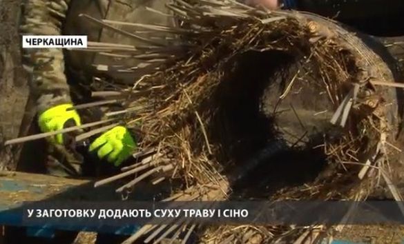 На Черкащині будують пентхауси для качок (ВІДЕО)