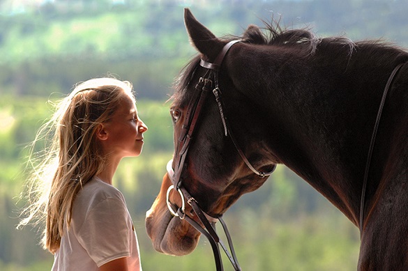 На Черкащині коні допомагають лікувати дітей (ВІДЕО)