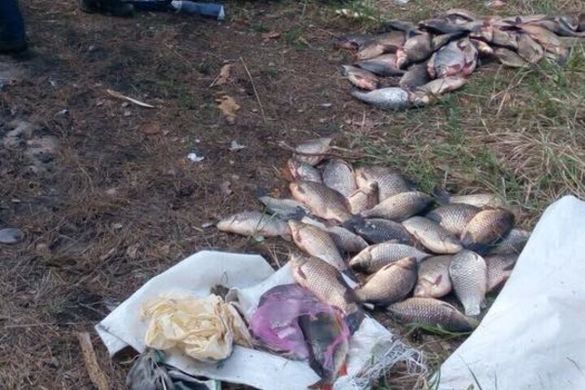 На Черкащині браконьєри завдали державі збитків на суму вісім тисяч гривень (ФОТО)