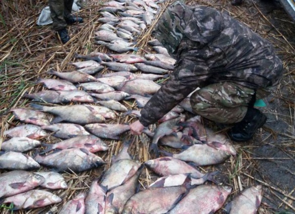 На Черкащині спіймали браконьєра з великим уловом (ФОТО)