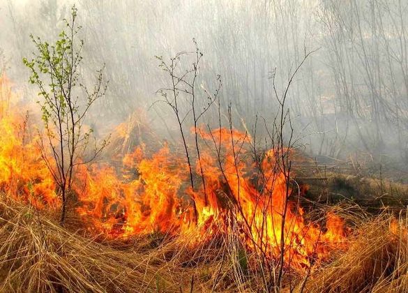 На Черкащині сталася велика пожежа сухої рослинності