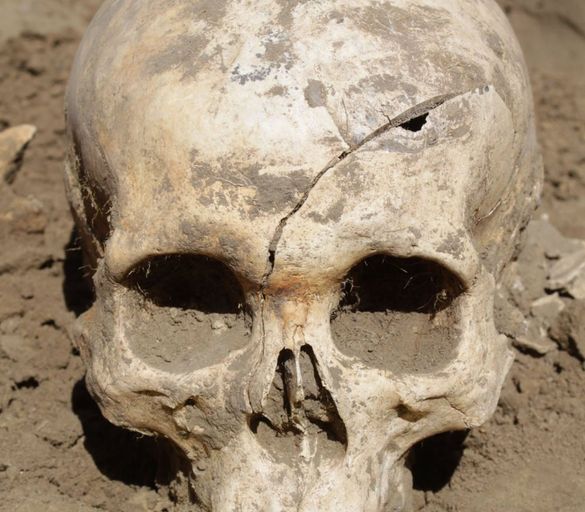 На Черкащині дослідили знайдені понад 300 черепів, кістки та щелепи (ФОТО)