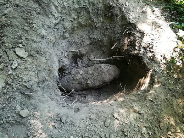 На Черкащині лісівник знайшов стокілограмовий боєприпас