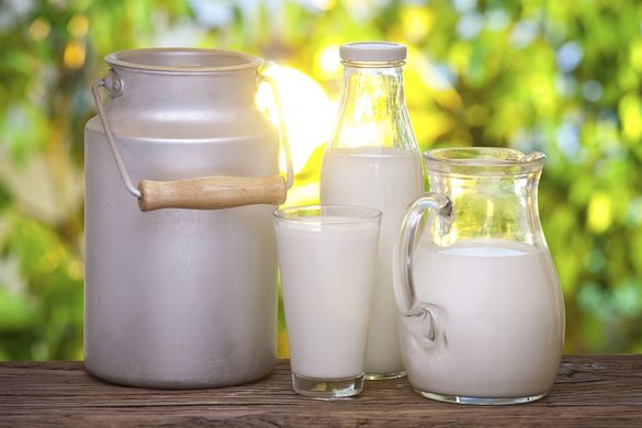 Доїльні апарати та  кооперативи: як черкащани покращують якість молока (ВІДЕО)