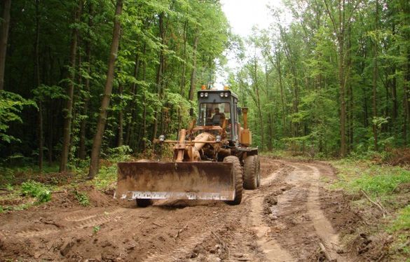 На Черкащині відновлять майже 30 кілометрів лісових доріг