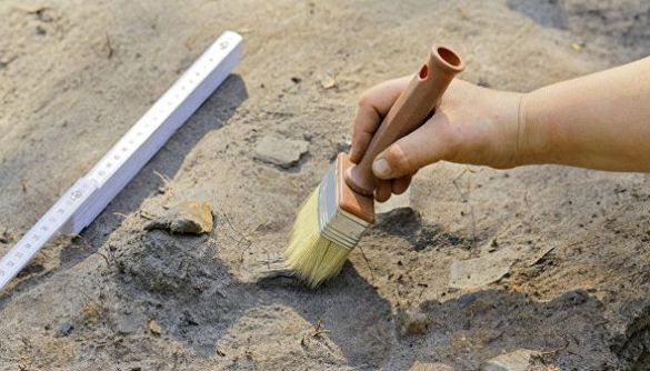 Невідомий метал, кераміка і людські рештки: на Чигиринщині знайшли унікальне поховання (ВІДЕО)