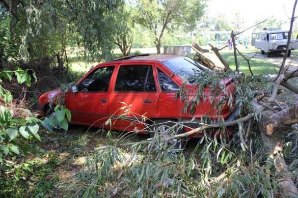 У Черкаській області на машину впало дерево (ФОТО)