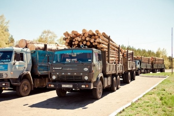 Правоохоронці Черкащини проводять операцію “Ліс”
