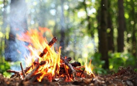 Пожежна небезпека: черкащанам заборонили розводити багаття в лісі