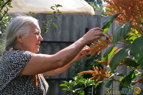 Понад сто різноманітних видів рослин вирощує жінка у Золотоноші (ФОТО)