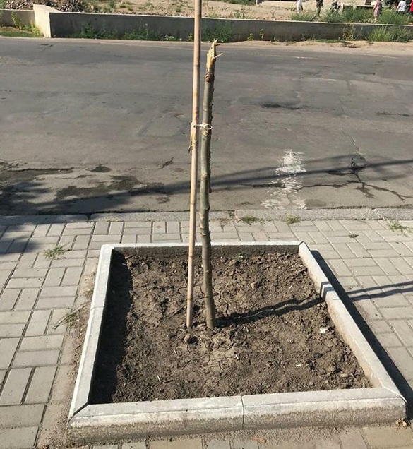 На Черкащині орудують екологічні вандали (ФОТО)
