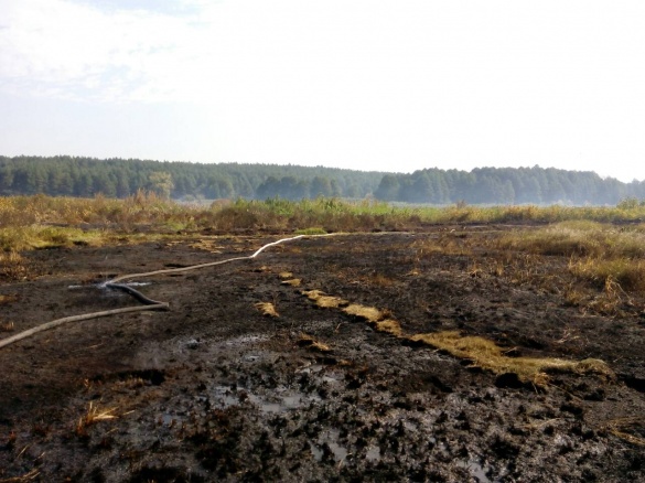 На Черкащині вогонь знищив чотири гектари сухої трави (ФОТО)