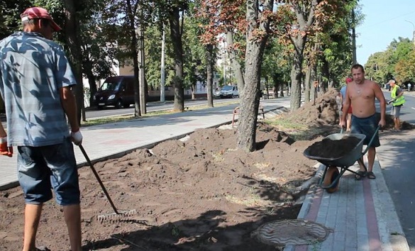 На бульварі Шевченка засіватимуть новий газон