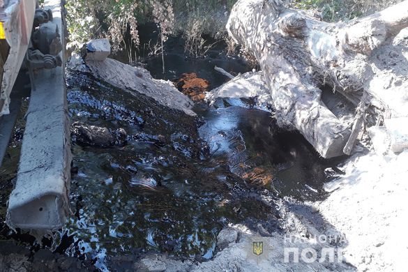 Механік та водій вантажівки забруднили лісосмугу Черкас нечистотами (ВІДЕО)