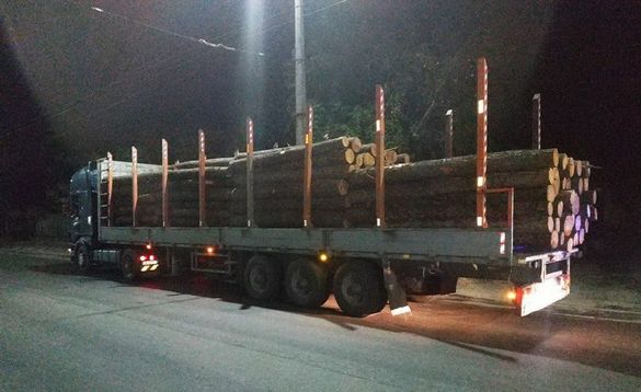 У Черкасах затримали вантажівку, яка незаконно перевозила лісоматеріали (ФОТО)