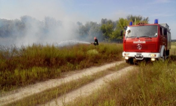 На Черкащині за добу сталося понад десять пожеж сухої трави та сміття (ФОТО)