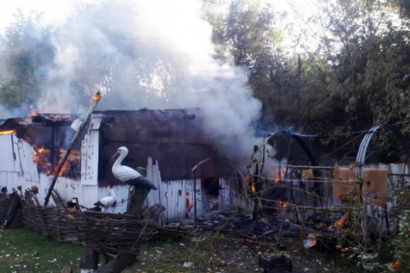 На Черкащині діти спалили сарай і три тони сіна (ФОТО)