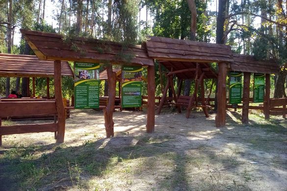 Лісівники Черкащини облаштували зону для відпочинку поблизу Золотоноші (ФОТО)