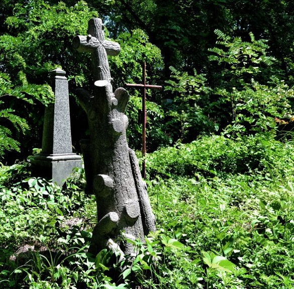На черкаському цвинтарі є надгробок-дерево, який символізує завершення роду (ФОТО)