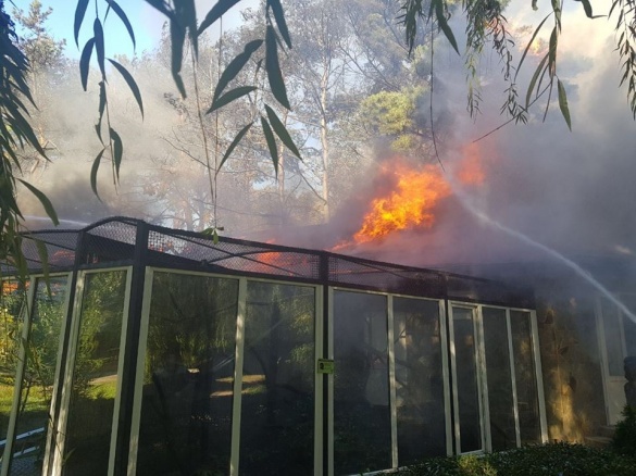 У черкаському зоопарку сталася пожежа (ФОТО)