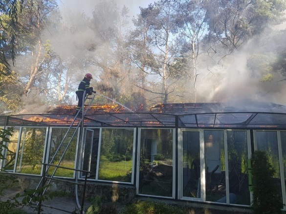 Пожежа в черкаському зоопарку могла статися через гризунів