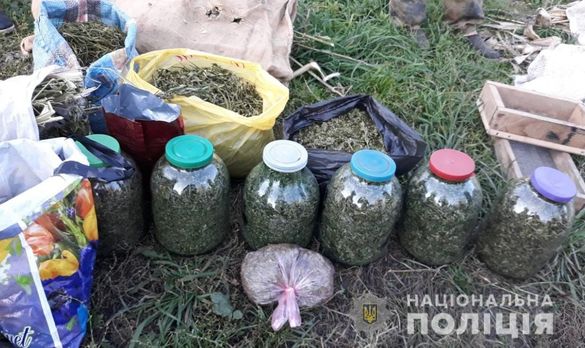 Велику партію канабісу вилучили в наркоторговця у Черкаській області (ФОТО)