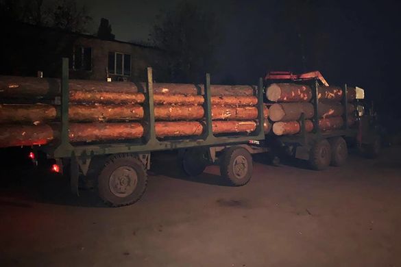 На Черкащині викрили схему розкрадання деревини у військовому лісництві