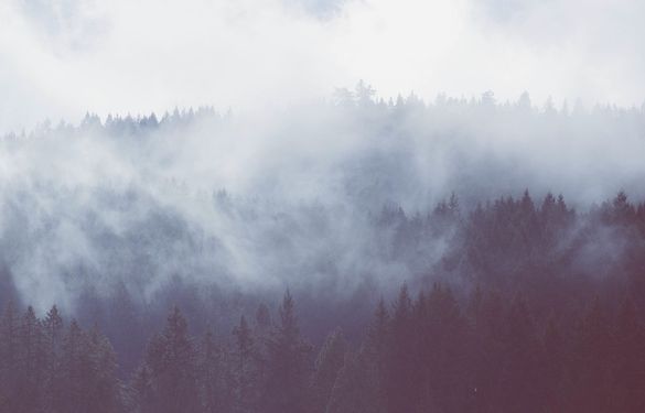 Синоптики прогнозують заморозки й тумани на Черкащині