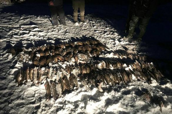 Черкаський рибоохоронний патруль виявив за тиждень понад сотню порушень