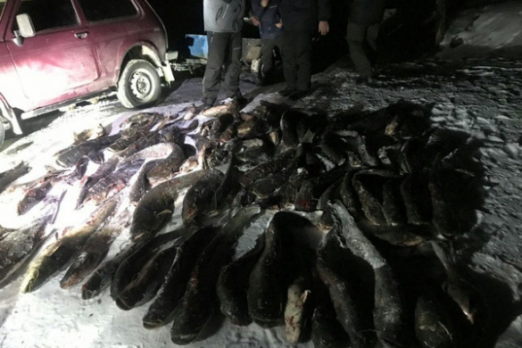 На Черкащині браконьєр за ніч наловив 300 кілограмів 
