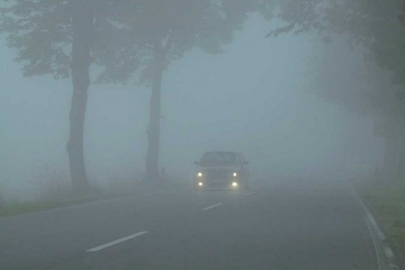 Синоптики попереджають черкащан про густий туман