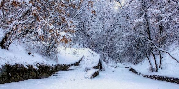 Після снігопадів на Черкащині посиляться морози