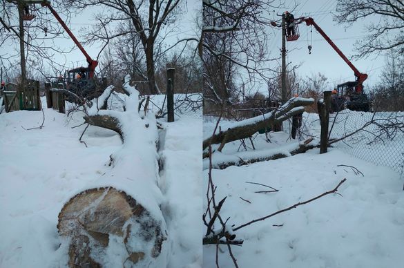 На Черкащині селяни через самовільне спилювання дерев залишилися без світла